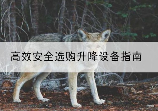 凤阳升降货梯厂家推荐-*安全选购升降设备指南