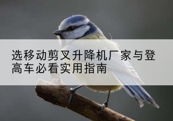 凤阳电动升降机厂家-选移动剪叉升降机厂家与登高车必看实用指南